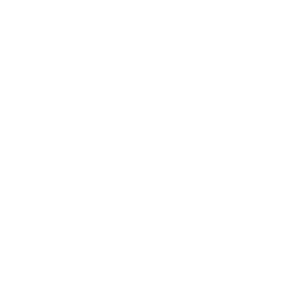 Society of Saint Vincent de Paul Logo